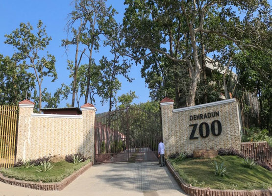 Hotel LP Residency-Dehradun Zoo