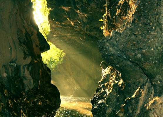 LP Vilas-Robbers Cave